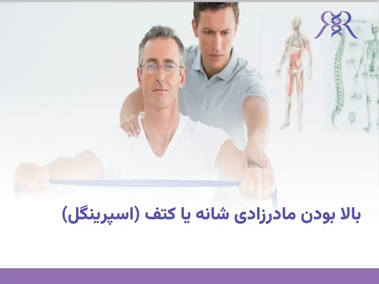 بالا بودن مادرزادی شانه یا کتف (اسپرینگل)